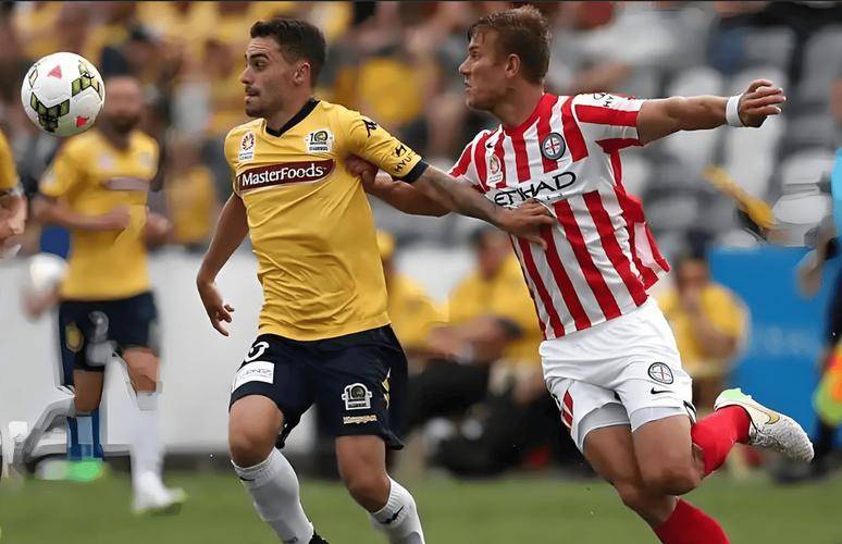 湖北湘军客场告负,保级形势日益严峻的简单介绍 湖北湘军客场告负,保级形势日益严峻的简单介绍