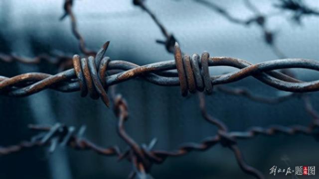 关于意大利主场大破阿尔巴尼亚,确立统治地位的信息 关于意大利主场大破阿尔巴尼亚,确立统治地位的信息