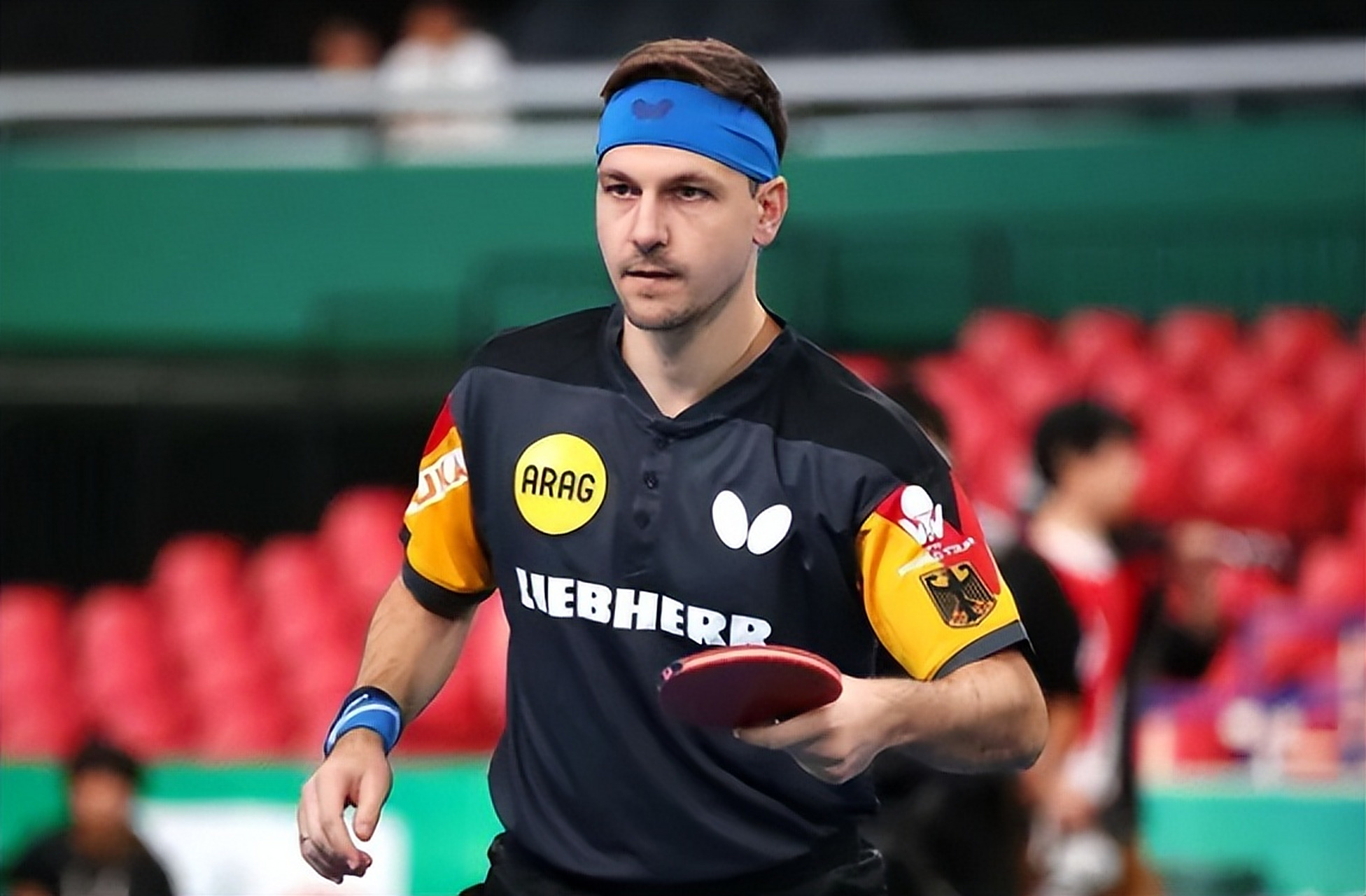 韩国乒乓球队血洗比利时乒乓球队，波尔惊艳世界的简单介绍