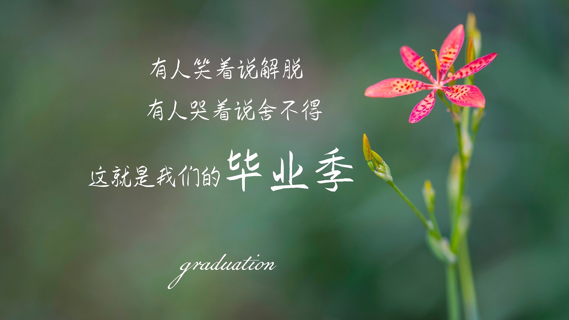 冰冷雨水与滚烫历史，当浙江爆冷之夜映照英超争冠硝烟