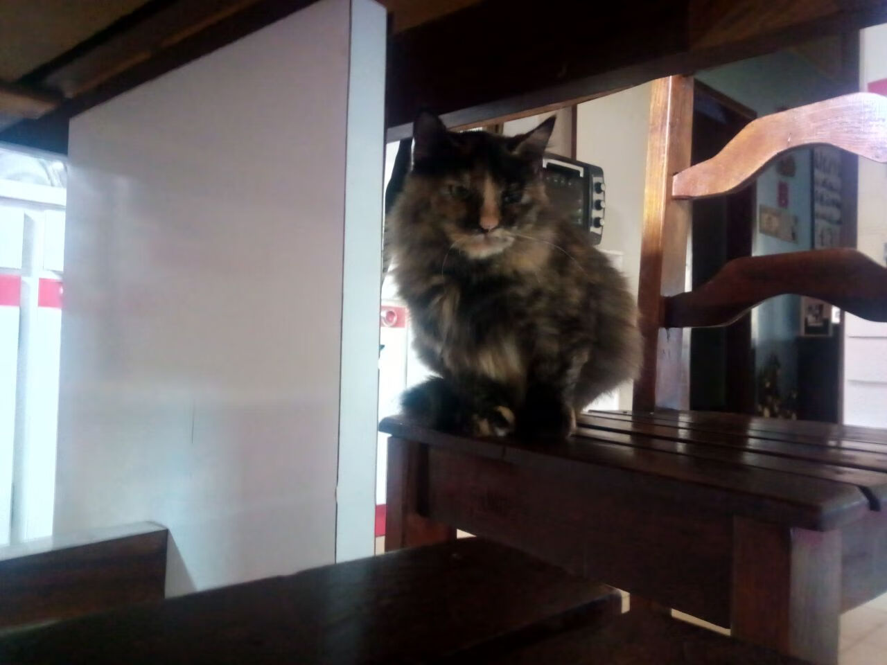 迪马利亚的苏格兰雨夜,当巫师在凯尔特人的地盘起舞