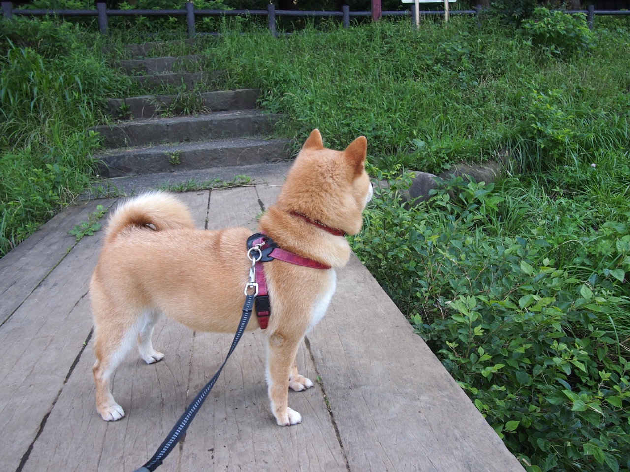力克宿敌！布克狂暴输出撕碎马刺防线，热火加时鏖战彰显冠军底蕴