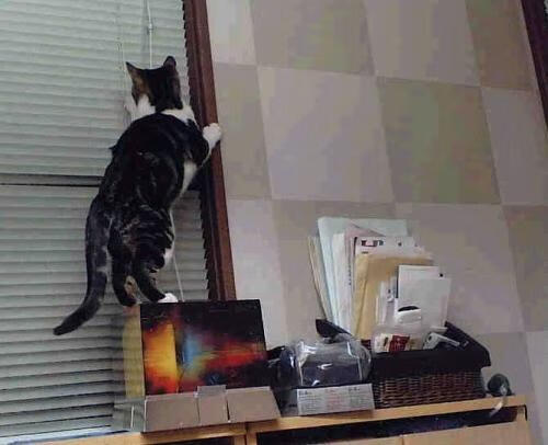 争冠夜，杀手心