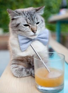 -关键时刻的闪耀，从拉什福德的英雄本色到巴拉圭对阵哥伦比亚的史诗对决