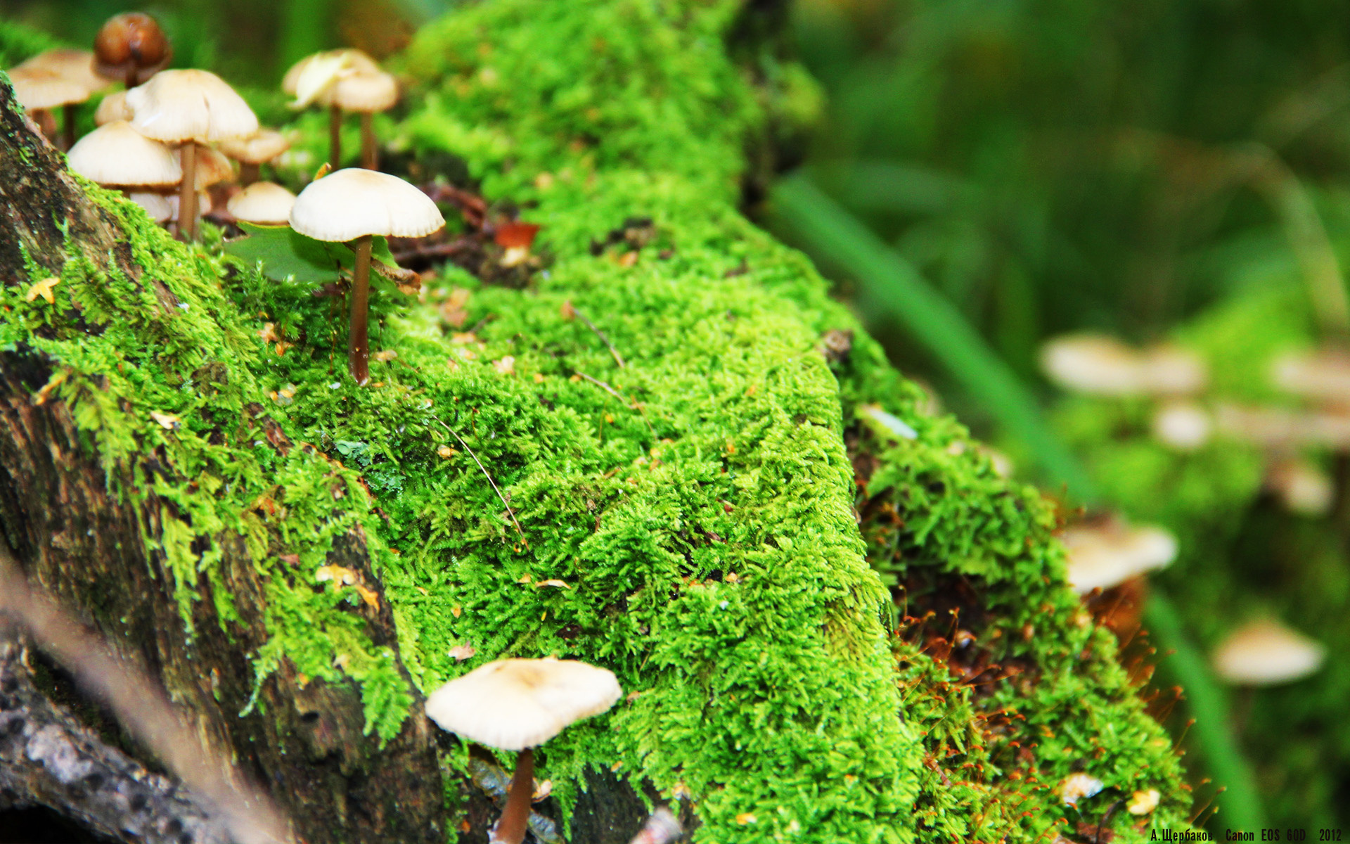 开云体育官方网站-卡拉斯科关键进球定乾坤，巴萨力克莱比锡红牛