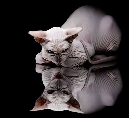 铁幕之下,光芒刺破暗夜,格列兹曼如何成为皇马的试金石?