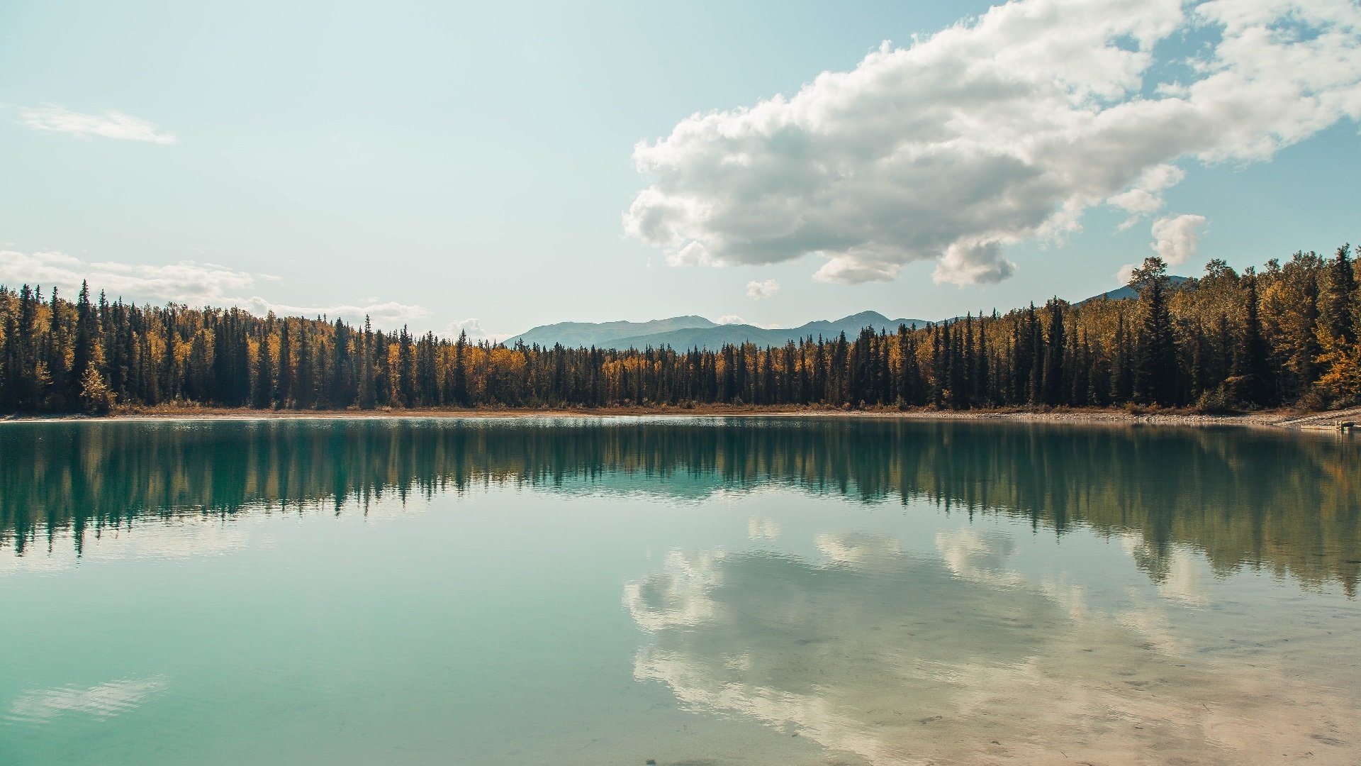开云体育APP下载-公牛强韧节奏降服深圳，杰伦·格林F1极限接管映照竞技真谛