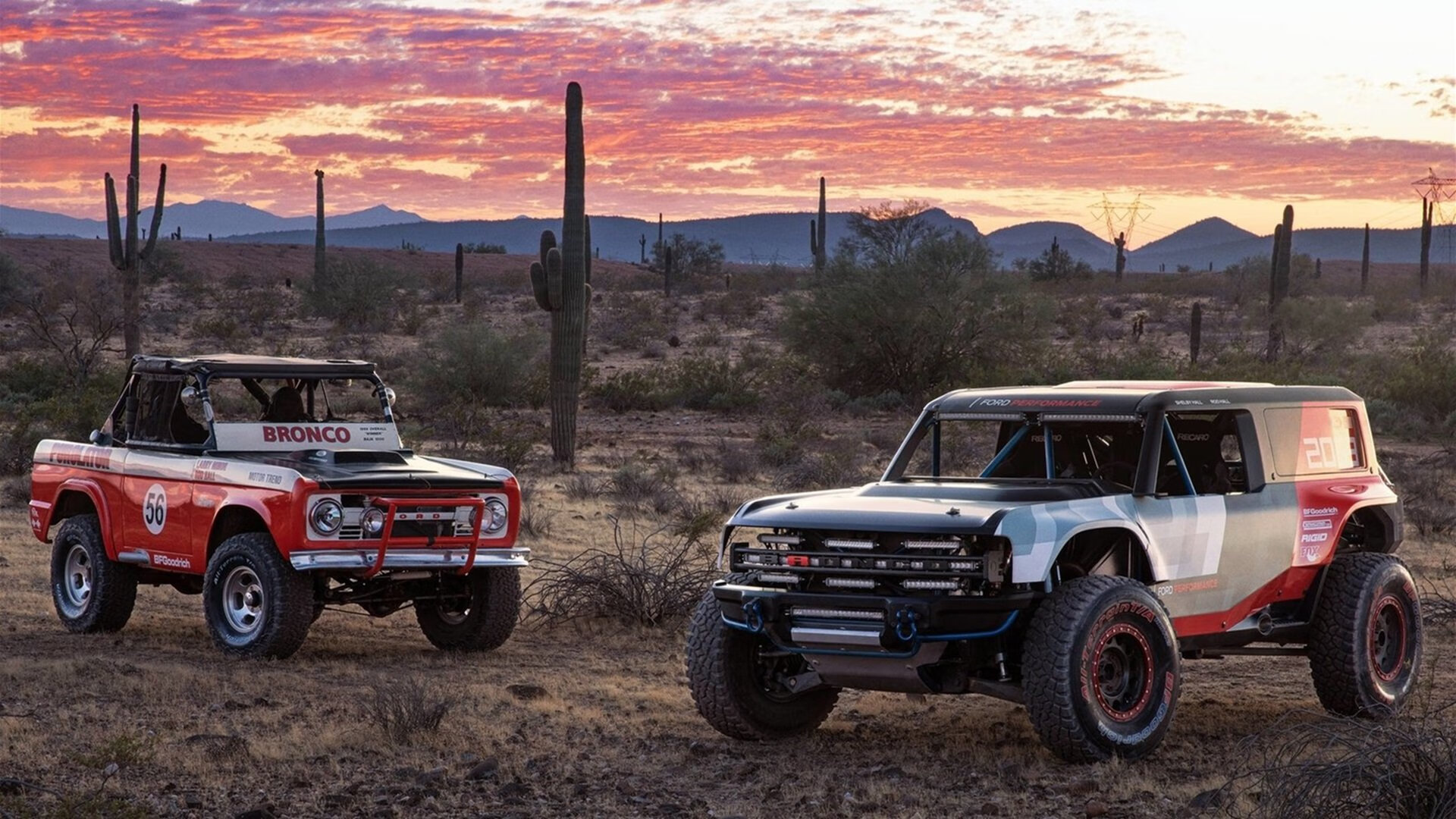 开云体育入口-跨越时空的共振，从米切尔的封神之夜到公牛的精神图腾
