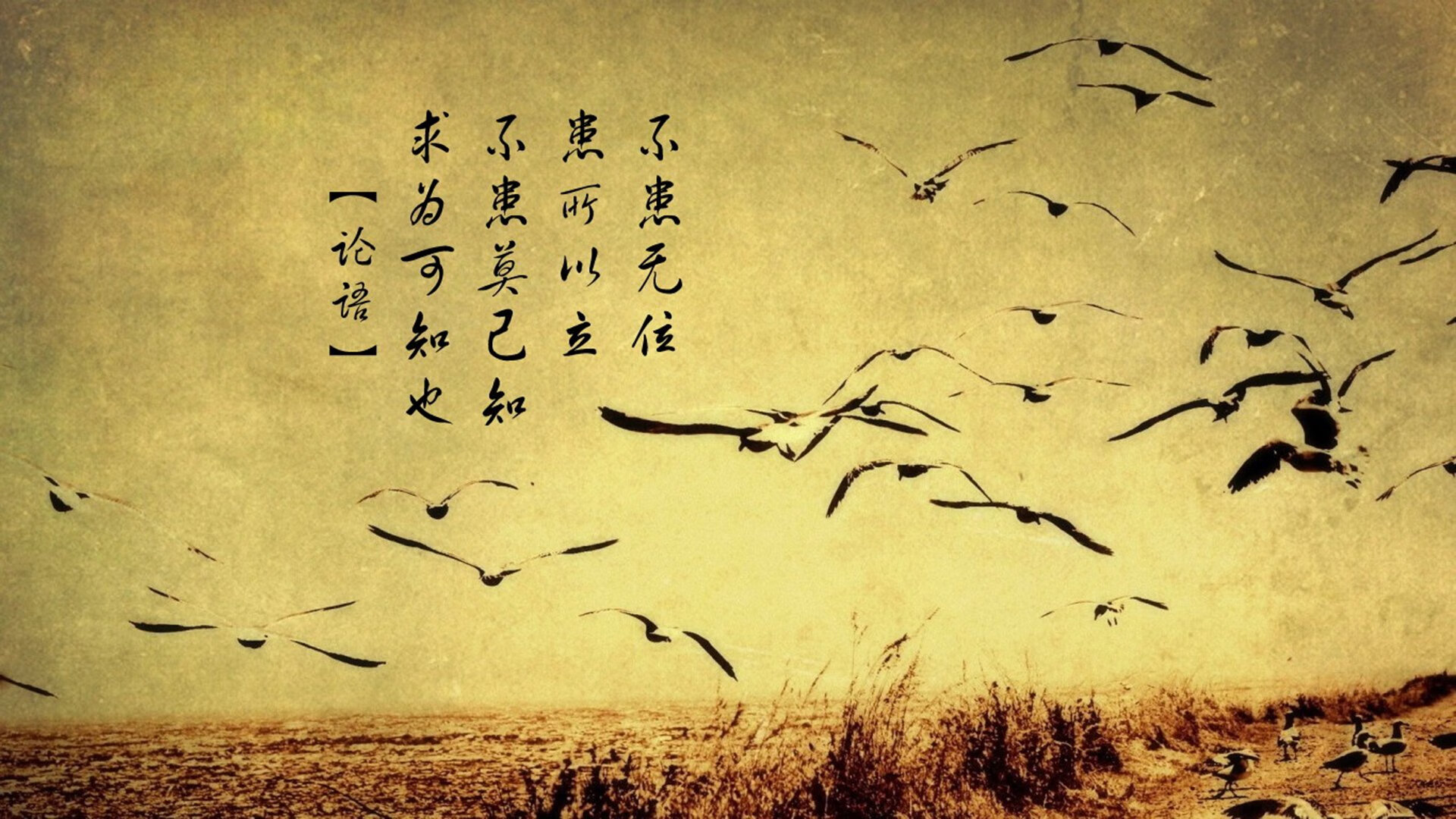 开云体育平台APP-燃尽迈阿密！快船全面压制热火，利拉德关键制胜一剑封喉