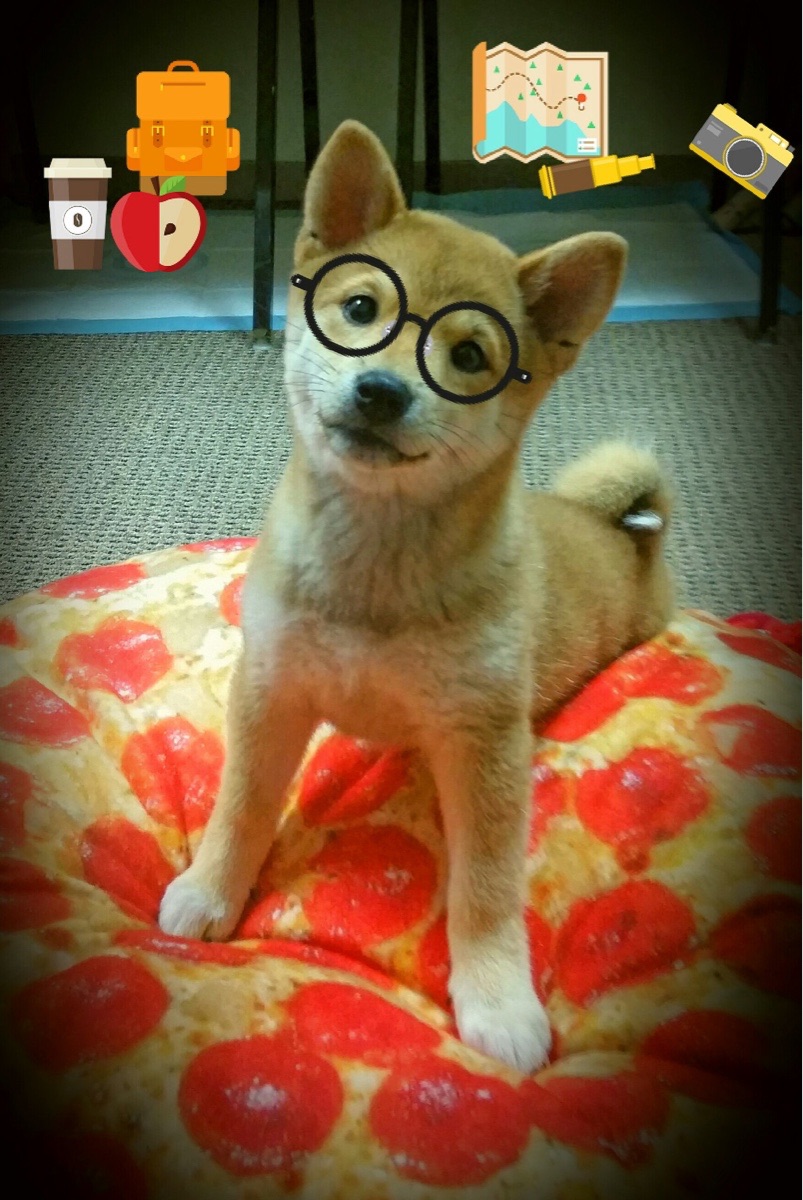 关键先生奥斯梅恩，一锤定音击碎蓝鹰，雷恩崛起背后的胜负手