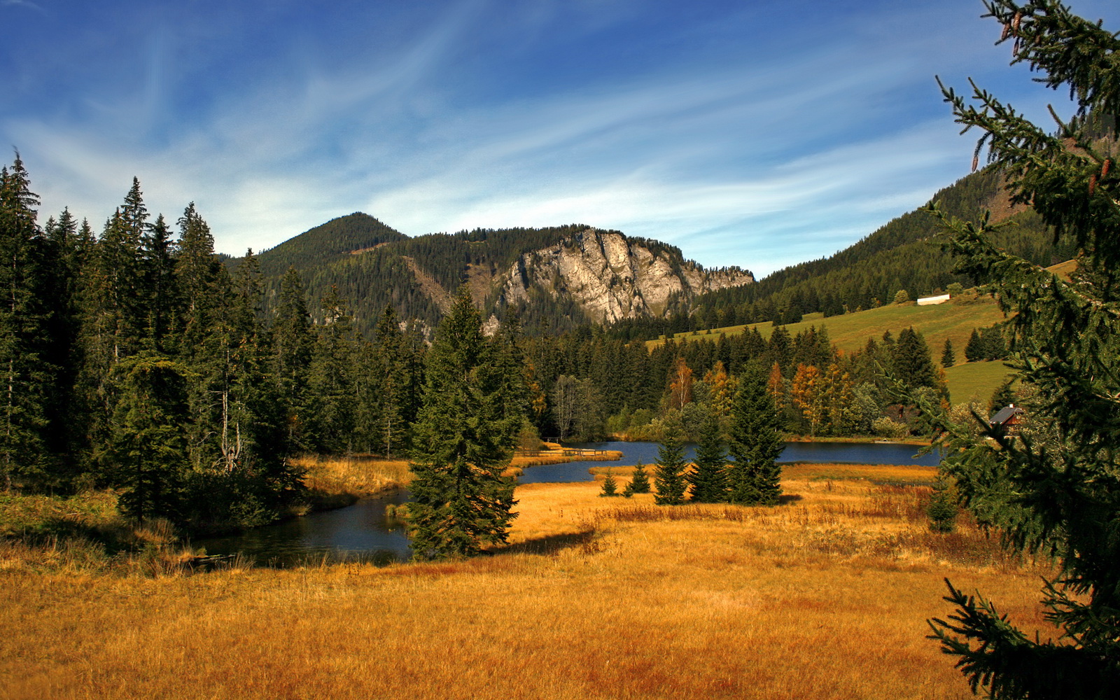 开云体育-奥纳纳利刃出鞘！安哥拉摧枯拉朽，爱尔兰防线溃不成军