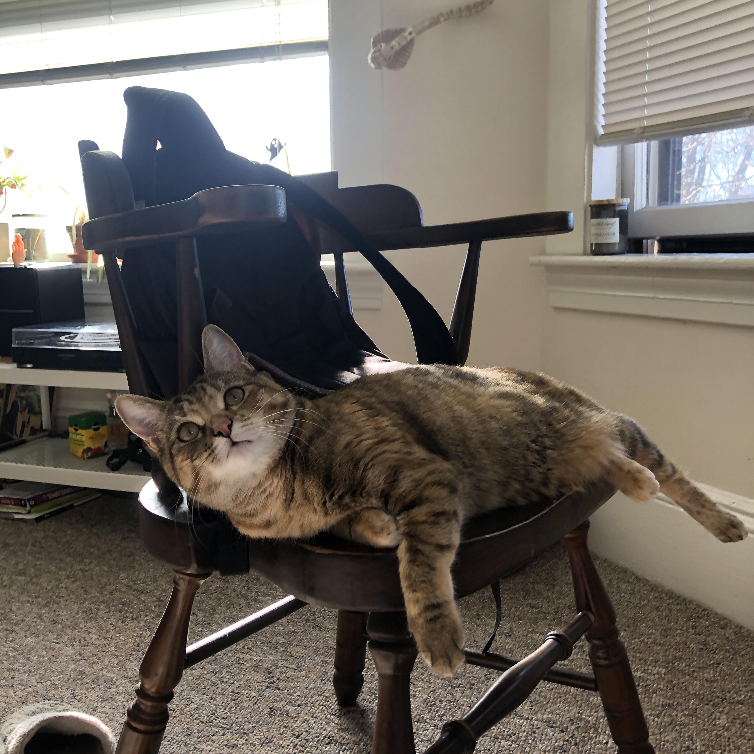 开云体育平台APP-小贾伦怒刃破长夜，北境狼群末节噬独行侠