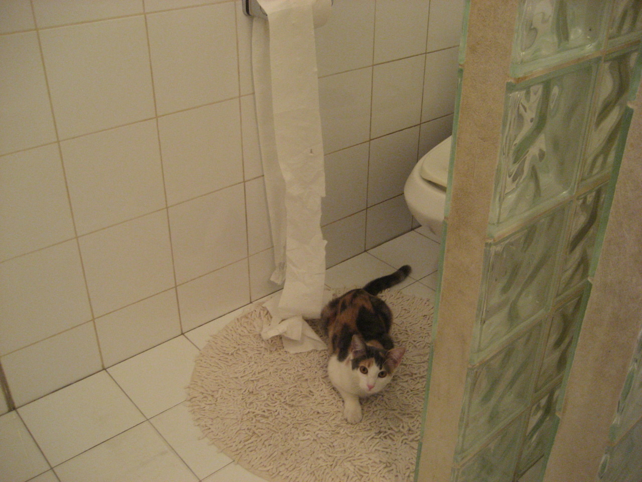 开云体育下载-欧冠级别的北非德比，摩洛哥惊天逆转阿尔及利亚的背后