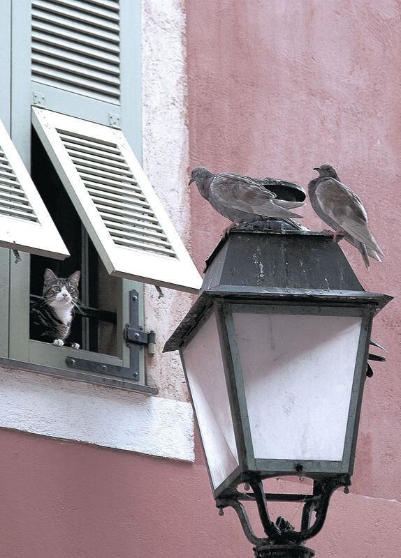 开云体育登录-马里力克巴黎，布鲁诺关键时刻的英勇传奇