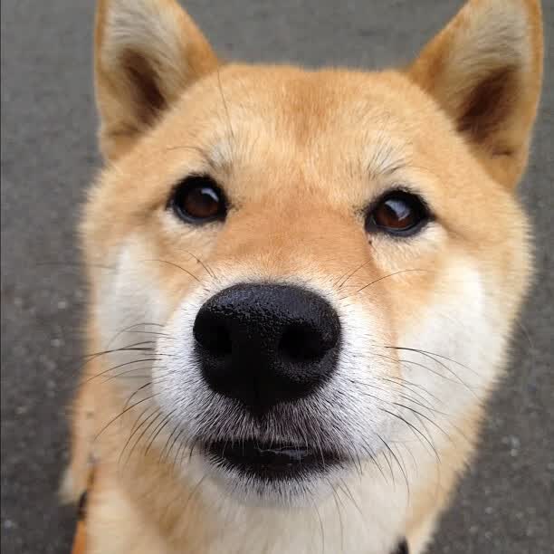 开云体育下载-活塞绝杀与围场漫步，当接管比赛在十字路口交汇