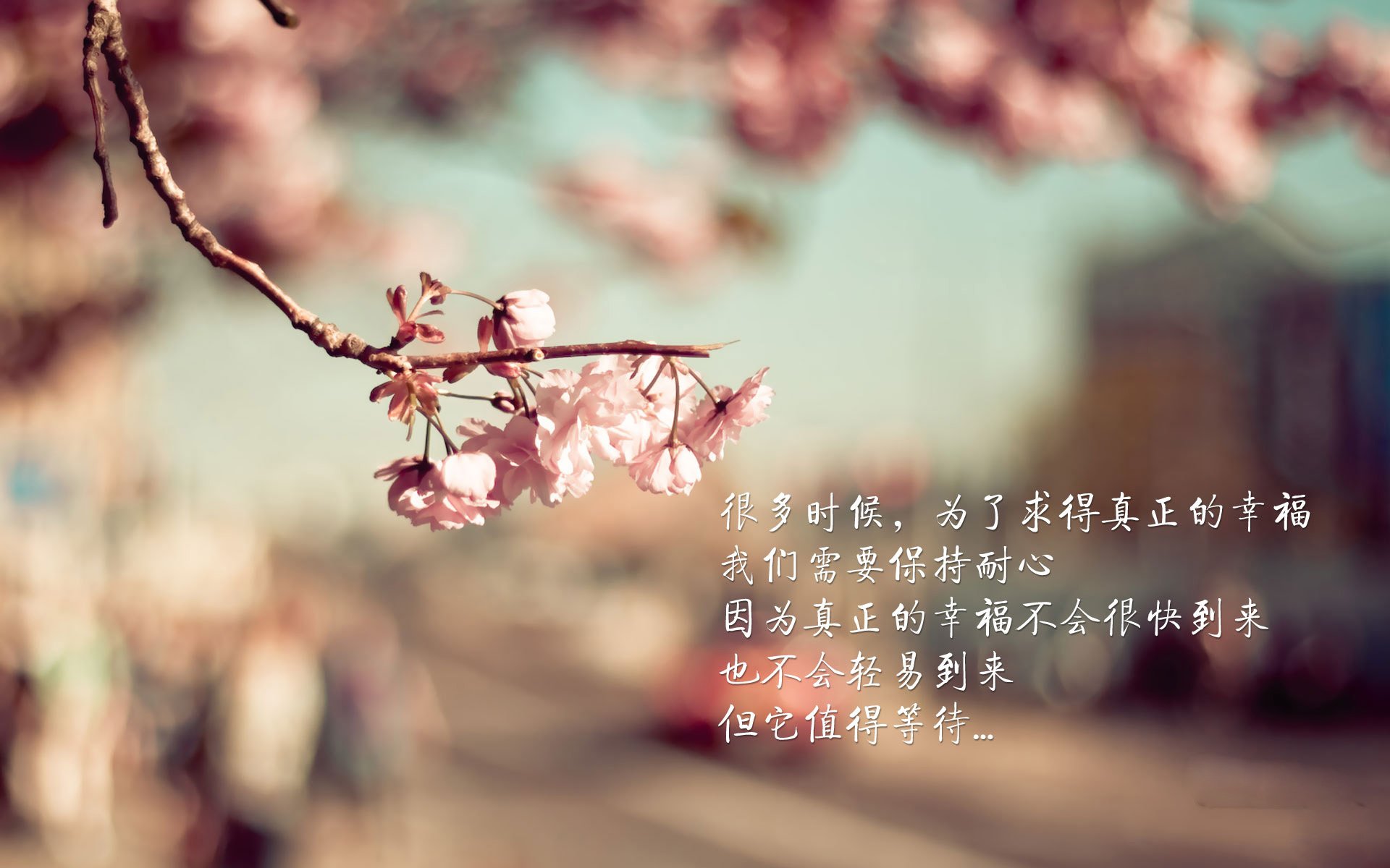 开云体育官网-东瀛风暴，久保建英闪耀，日本队力克捷克抢占C组晋级先机
