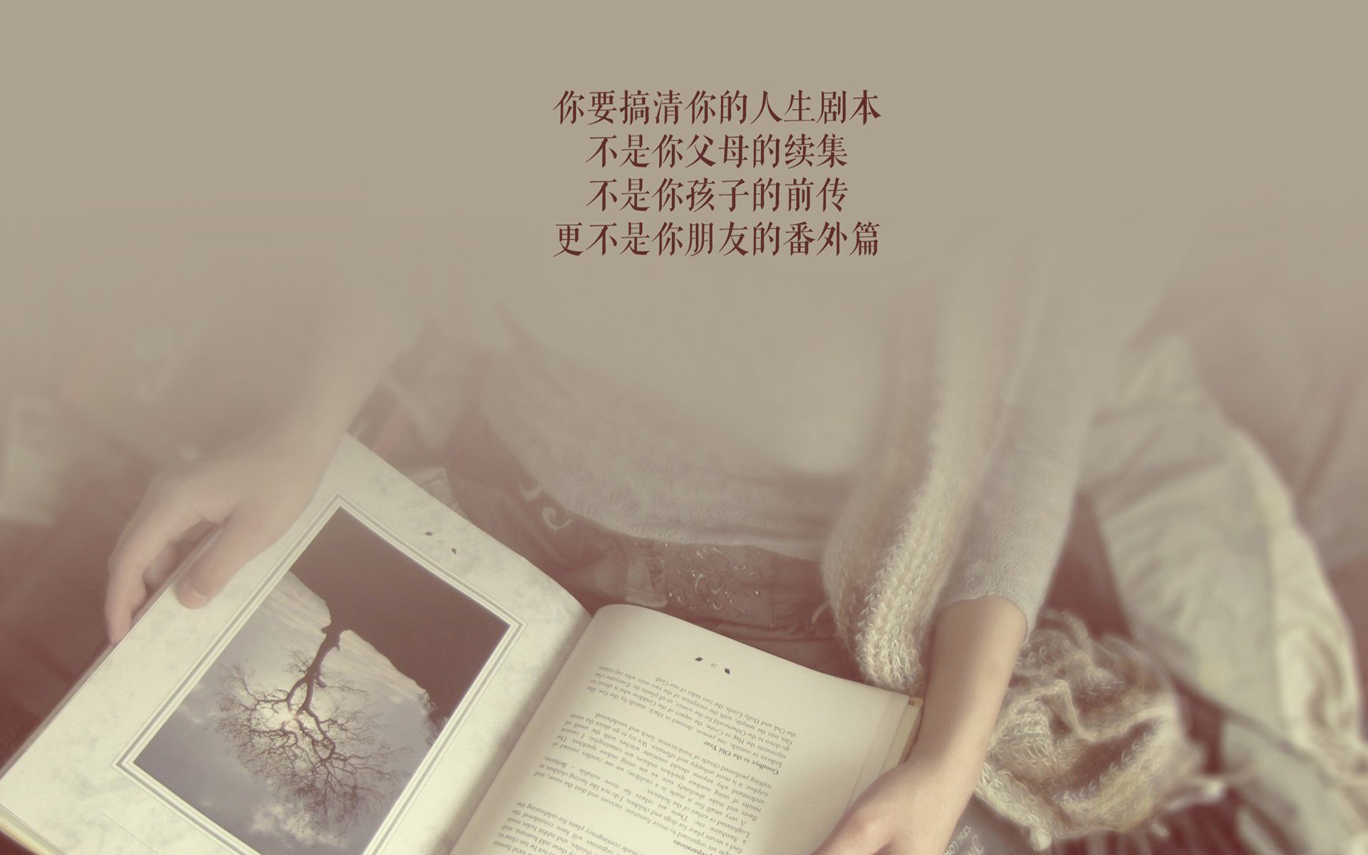 黑马奔腾,阿诺德导演经典战役,哥斯达黎加狂胜匈牙利挺进四强
