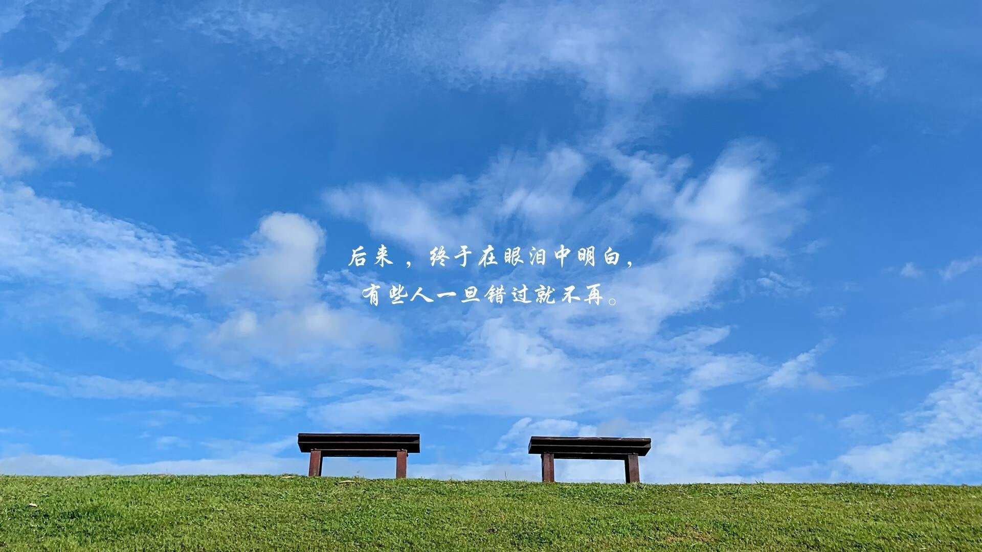 橙衣风暴席卷B组,京多安掌舵攻守转换,荷兰击溃罗马尼亚占得先机