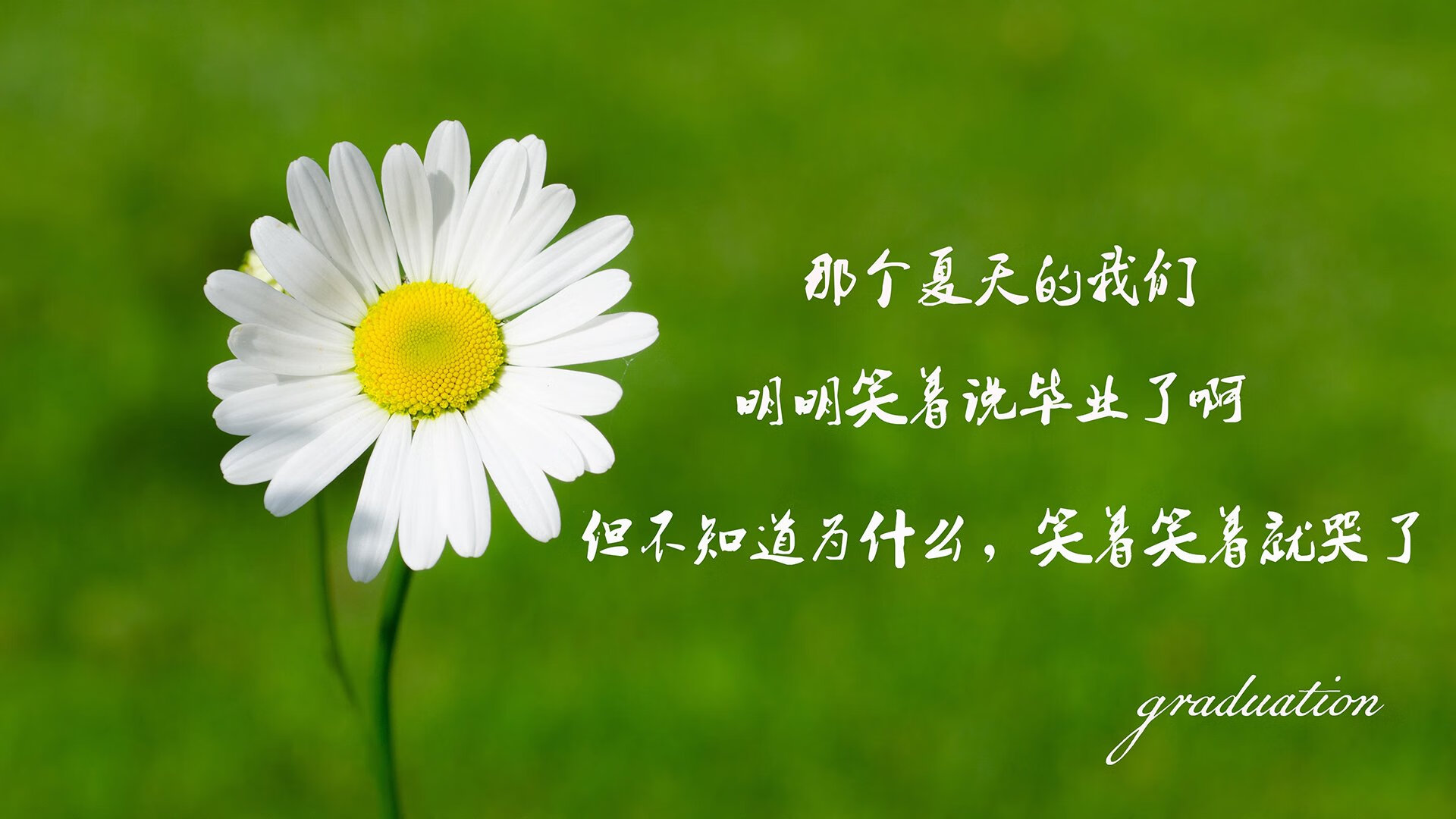 绝地重生,匈牙利逆转克罗地亚,孙兴慜领衔C组生死战奇迹
